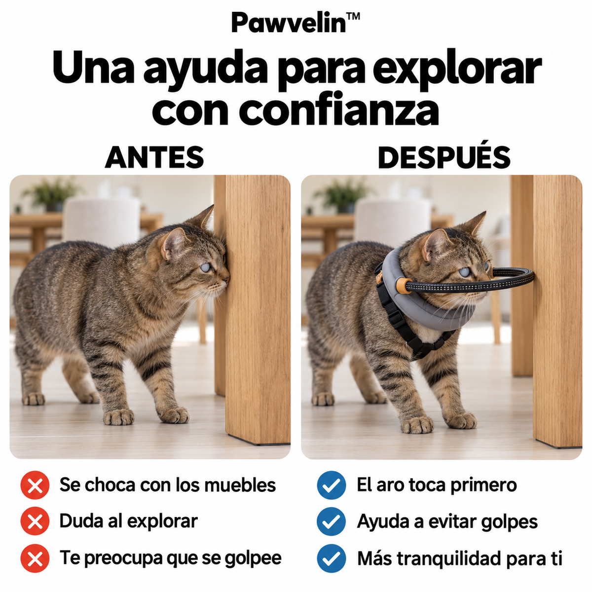 Aro protector acolchado para gatos ciegos