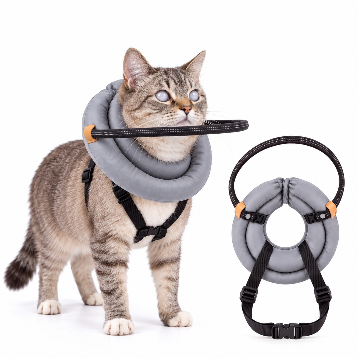 Aro protector acolchado para gatos ciegos