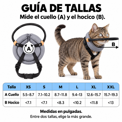 Aro protector acolchado para gatos ciegos