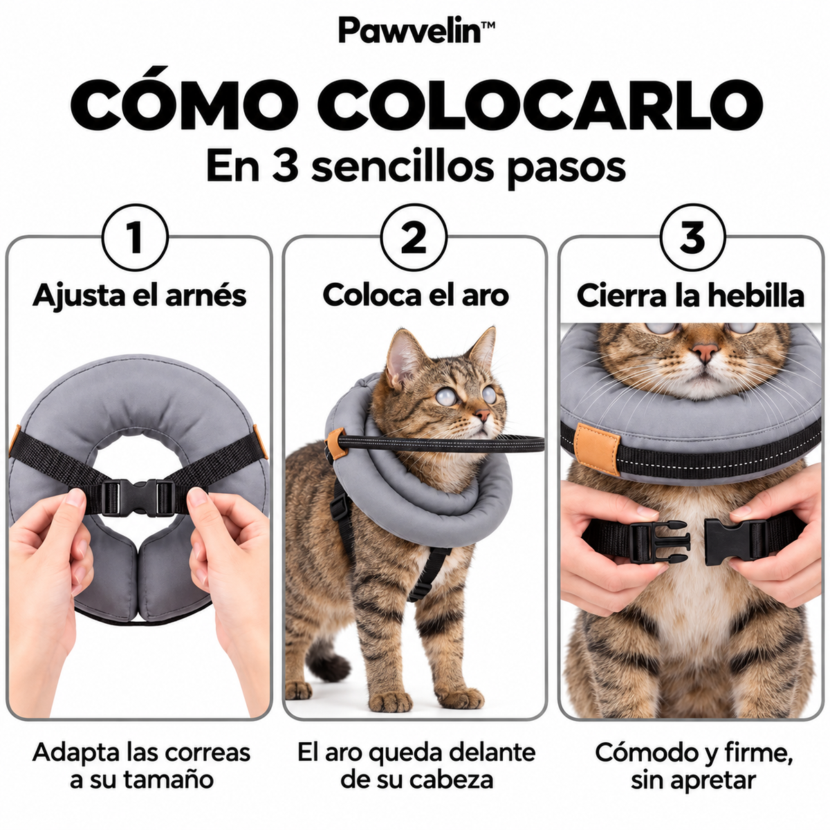 Aro protector acolchado para gatos ciegos