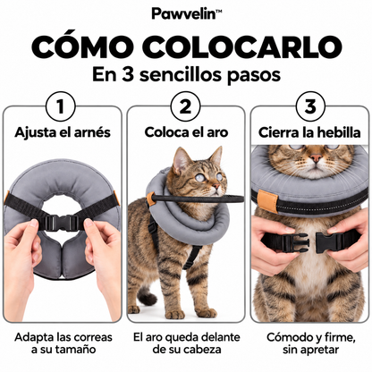 Aro protector acolchado para gatos ciegos